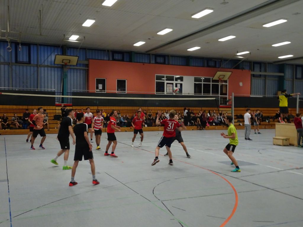Hönne-Volleys