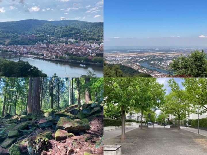 Fachportal Erdkunde